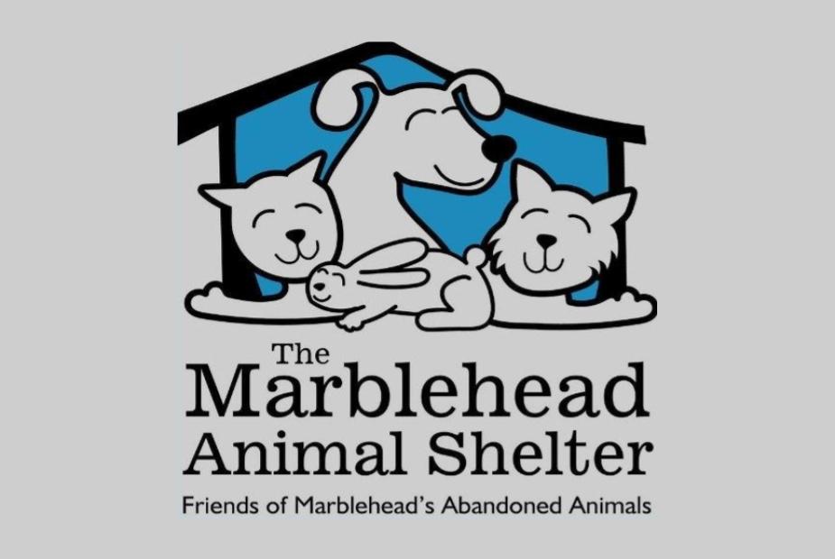 Shelter Logo