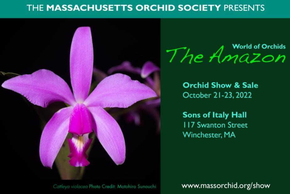Orchid Society Image