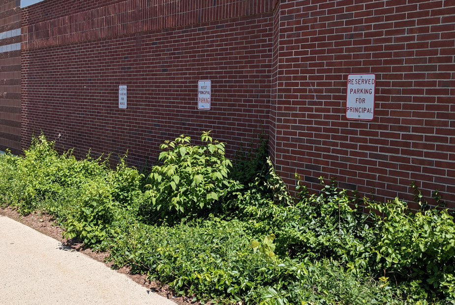 Signage showing reserved parking spots at Marblehead Veterans Middle School