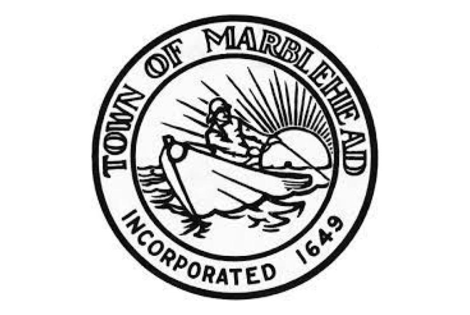 Town Logo