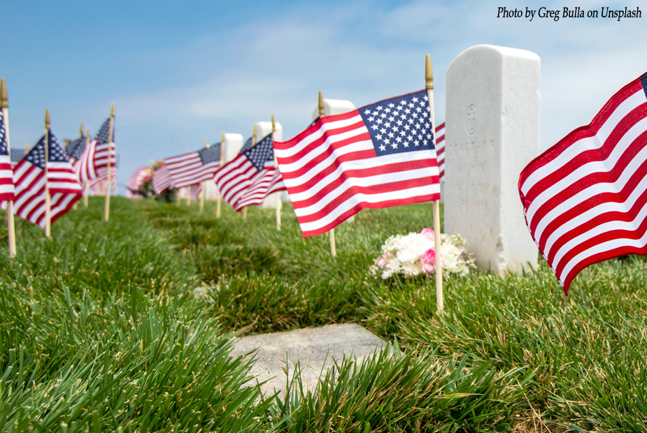 Veterans Day Photo