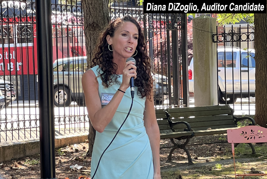 Diana DiZoglio, Auditor Candidate