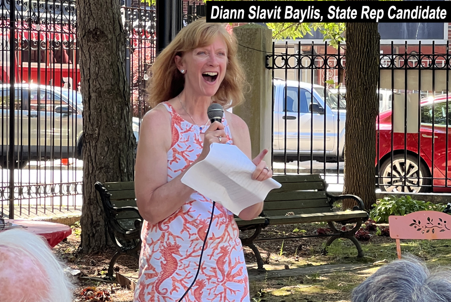 Diann Slavit Baylis, State Rep Candidate